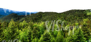 cut out mountainous background with forest