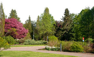 background of a park with trees and bushes