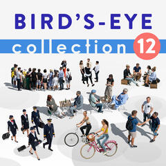 Birds Eye Collection 12