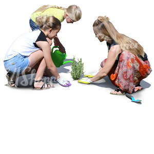 mother with two daughters planting in the garden