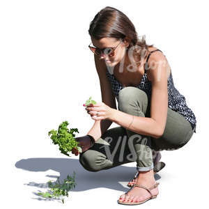 woman squatting and picking herbs