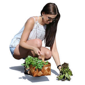 woman picking herbs in the garden