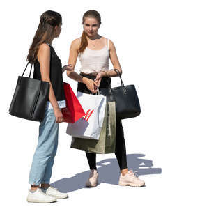 two young women with shopping bags standing