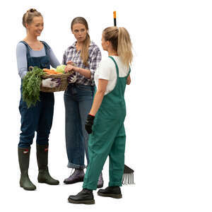 cut out three women standing in a garden and talking