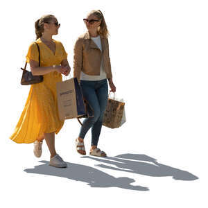 two cut out backlit young women with shopping bags walking and talking