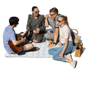 group of young people having a picnic seen from above