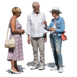 cut out group of elderly people standing and talking