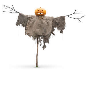 cut out halloween scarecrow in daylight