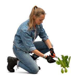 cut out woman cutting some plants in the garden