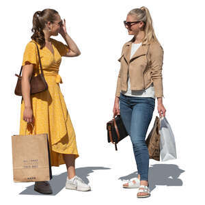 two cut out young women shopping and talking