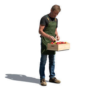 cut out man selling apples on the market