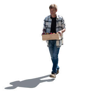 cut out backlit man carrying a crate of apples