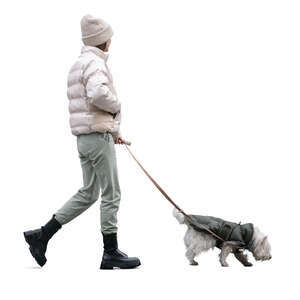 cut out woman walking a dog in autumn