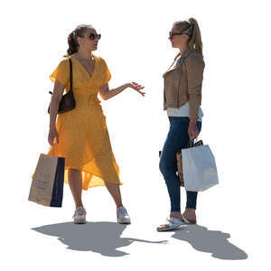 two cut out  backlit young women with shopping bags standing