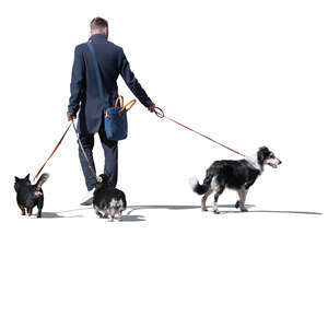 cut out man with three dogs walking