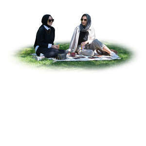 two cut out muslim women sitting in tree shade on the grass