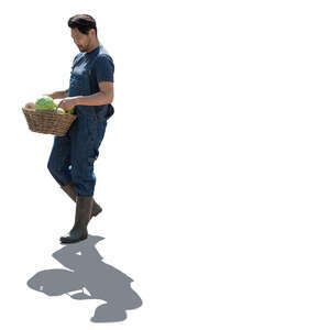 backlit man carrying a basket full of vegetables