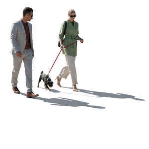 backlit elegant man and woman walking with a dog