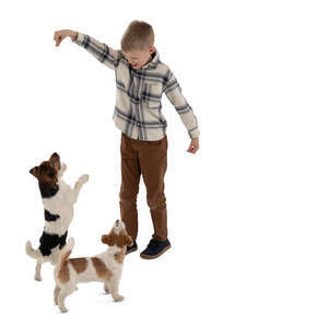 cut out little boy playing with dogs seen from above