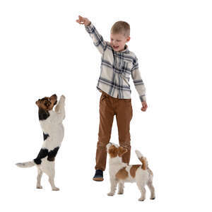 little boy playing with dogs