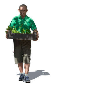 older man carrying a box full of plants in tree shade