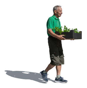 backlit older man carrying plants in the garden