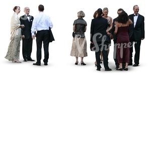 group of people attending a formal event