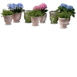 cut out composition of potted plants and flowers