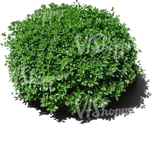 cut out round bush