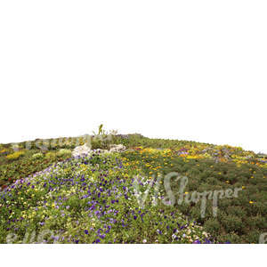 cut out foreground flowerbed