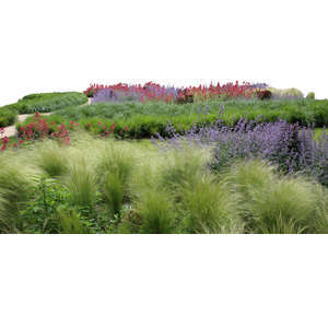 cut out foreground with grass and flowers