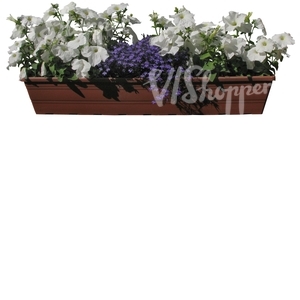 white flowers in a balcony basket