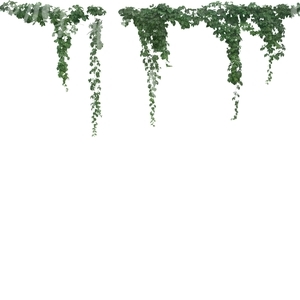 cut out vine hanging