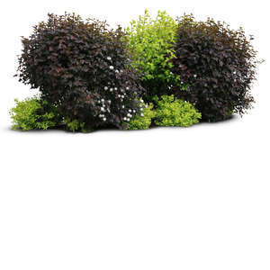 cut out group of bushes