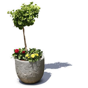 small plant and flowers in a stone pot