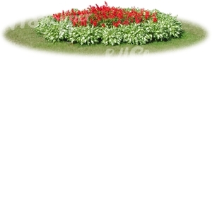 round flowerbed with red flowers