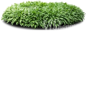 cut out green flowerbed