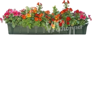 cut out row of red flowers in a pot