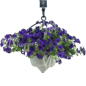 cut out hanging basket with blue flowers