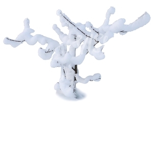 small leafless tree covered in snow