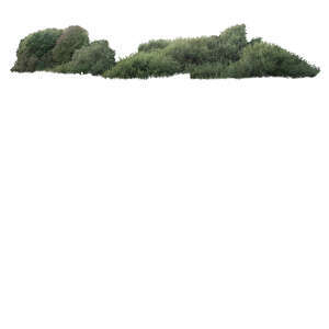 cut out bush composition