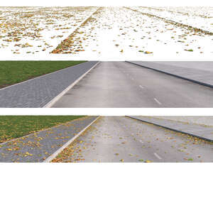 rendered street with fallen leaves