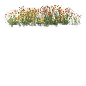 rendered composition of tall blooming flowers on transparent background