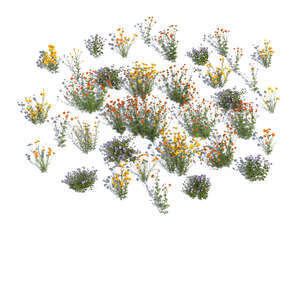 top view of different rendered flowers