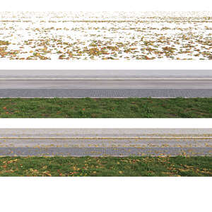 rendered foreground path with fallen leaves on separate layer