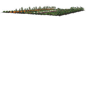 rendered cut out image of a vegetable field