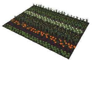 top view of a rendered vegetable field