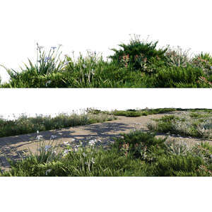 rendered foreground of a footpath and flowerbeds on different layers