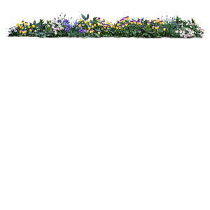 cut out row of blooming flowers and violets