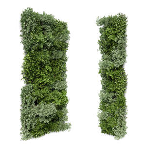 cut out green wall in front angle